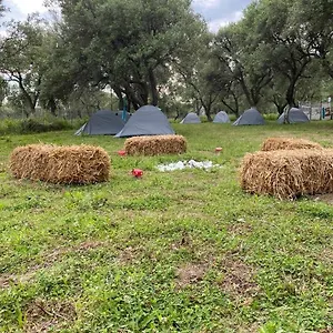  Luxuszelt Cika's Camping Albanien