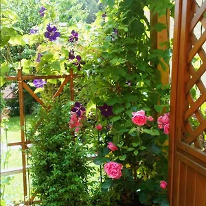  Apartment Mit Gartenblick Deutschland
